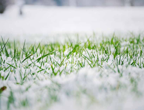 Preparing for The Big Chill